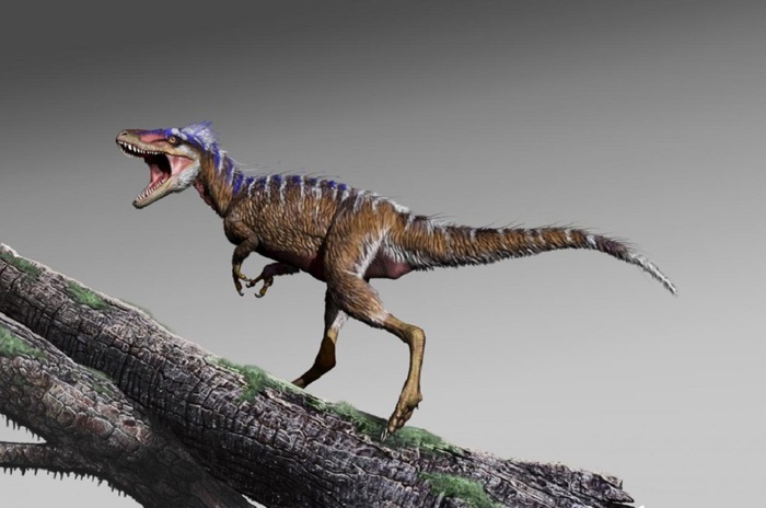 L’antenato del T-rex era piccolo come un canguro – VIDEO