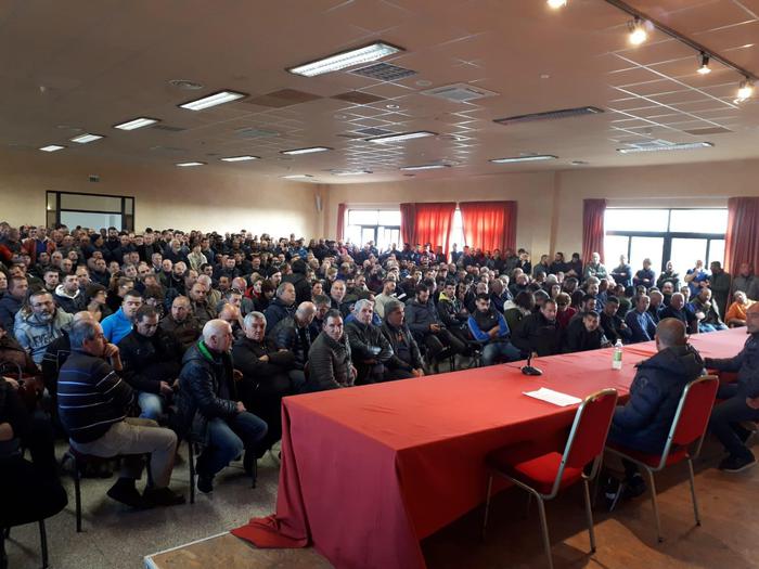 Latte: nuova assemblea pastori alla vigilia del voto sardo