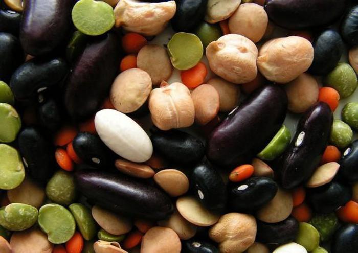 Legumi in cucina, sette notizie ancora poco conosciute