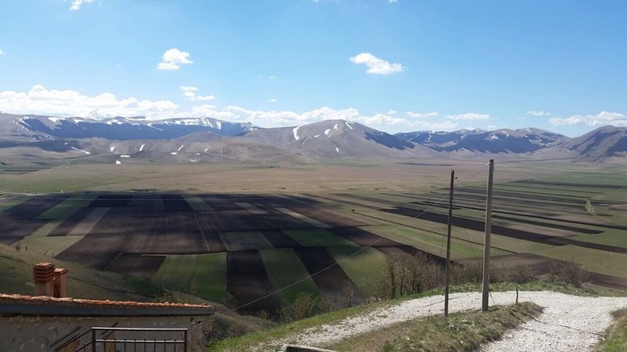 Lenticchia di Castelluccio, verso la normalità dopo il sisma