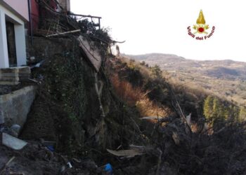 Maltempo: cade grossa pianta sull’Amiata