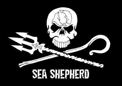 Mare: Sea Shepherd in Italia a caccia di ‘reti fantasma’
 