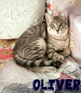 oliver