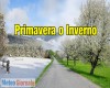 anteprima immagine articolo 56228