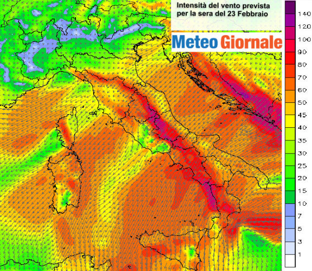 immagine 2 articolo 56407