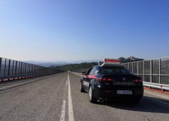 Mit, entro l’anno lavori viadotto Sente