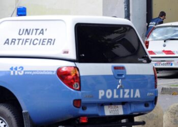 Muore collezionista armi,ne ha oltre 100