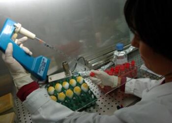 “Niente stage perché del Sud”, la denuncia della biologa 