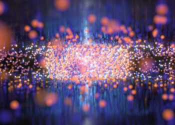 Ottenuto un nuovo stato della materia, è un liquido di elettroni