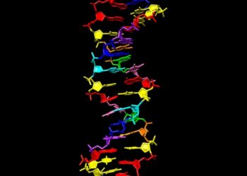 Ottenuto un super Dna, aiuterà a scoprire la vita aliena