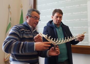 Pescatori alla Regione,più attenzione