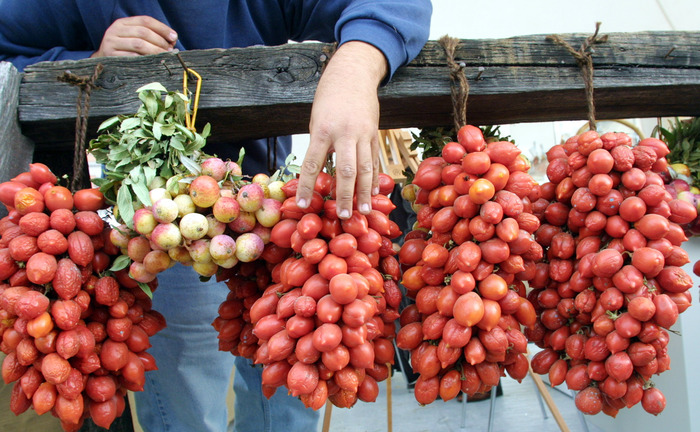 Pomodorini rubati, ricettatori scoperti grazie a esame Dna