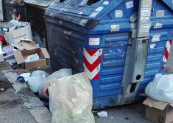 Rifiuti: esperto, ‘dalla discarica al termovalorizzatore, la ricetta per Roma’
 