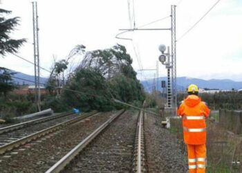 Rogo sui binari, treni in ritardo 13 ore