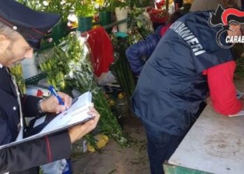 Ruba fiori copri bara, denunciato 45enne