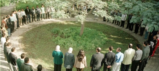 Sekem, l'oasi nel deserto egiziano dove la solidarietà è anche sostenibile