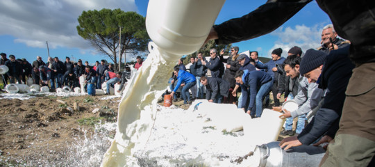 Siamo forse alla stretta finale per la questione del latte sardo
