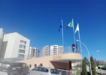 Storia, Unimol capofila progetto Erasmus