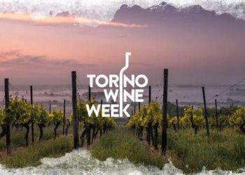 Torino Wine Week a Palazzo Carignano