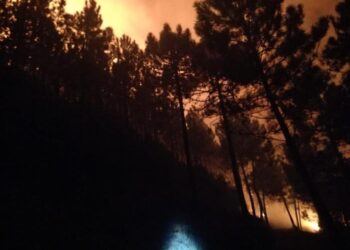 Un altro bosco in fiamme nel Pisano