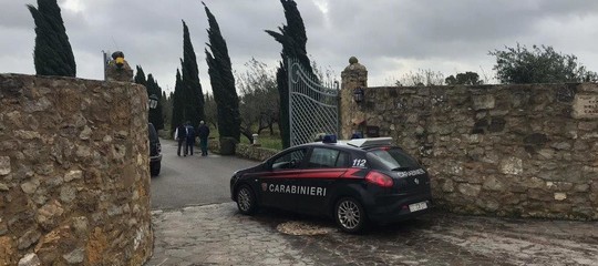 Un gatto trafitto da un freccia salvato dai medici, indagini nel Bergamasco