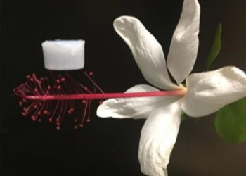 Un materiale fatto d’aria per i veicoli spaziali del futuro