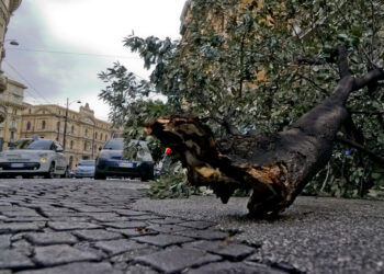 Vento forte a Napoli, volano tettoie