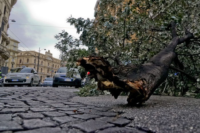 Vento forte a Napoli, volano tettoie