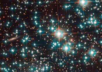 Visto uno dei fossili più antichi dell’universo