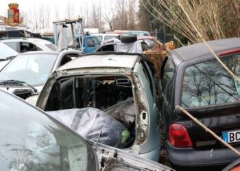 233 auto per finta, multe 500 euro l’una