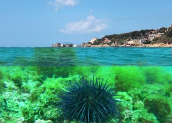 Alla Gaiola corso operatore scientifico
