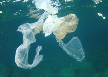Ambiente: Wwf, 100 mln ton di plastica all’anno disperse in natura  