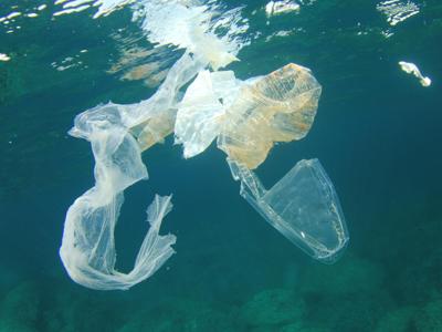 Report Wwf, 100 mln t di plastica disperse in natura ogni anno