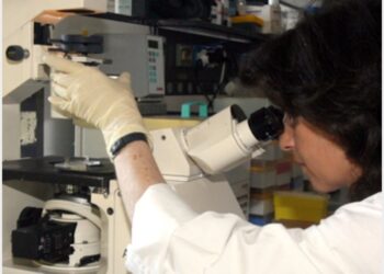 Arriva lo sciame di cellule-robot