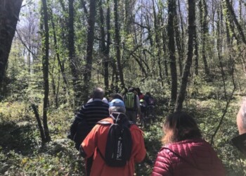 Birdwatching in oasi Lipu di Casacalenda