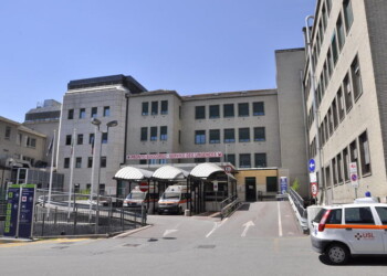 Caduto da albero, morto parroco Pollein