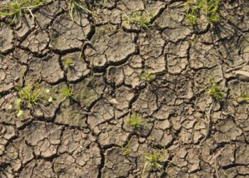 Clima: studio, migrazioni verso Italia guidate da variazioni meteo-climatiche
 