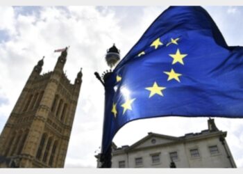 Copyright: settore creativo, Pe adotti