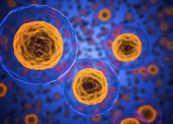 Così le cellule ricordano la loro vita embrionale