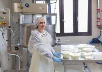 Enel e Legambiente per aziende sisma