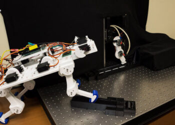 Gambe robotiche imparano a camminare da sole