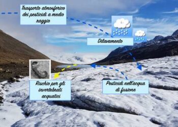 Gli insetti delle Alpi minacciati dai pesticidi