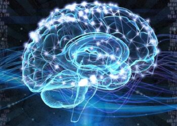 Il cervello ricorda o dimentica a comando