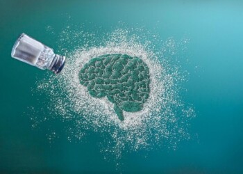 Il senso del cervello per i cibi salati