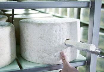 Imprese: Igor, in funzione nuovo impianto produttivo  