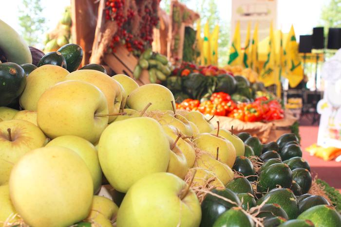 In crescita imprese di giovani e donne