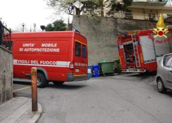Incendio in una casa, morti due cani
