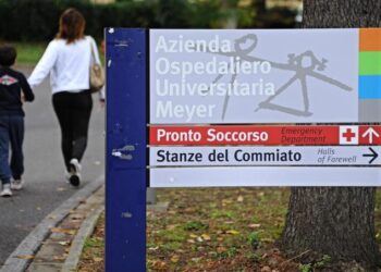 Meningite da pneumococco, grave bimbo