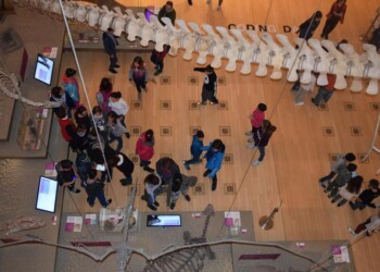 Musei: 1 milione e 200 mila visitatori in Trentino nel 2017