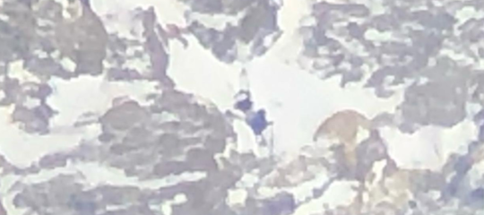 Nardi e Ballard sono morti. I loro corpi non saranno recuperati